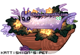 Dressed pet
