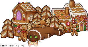 Dressed pet