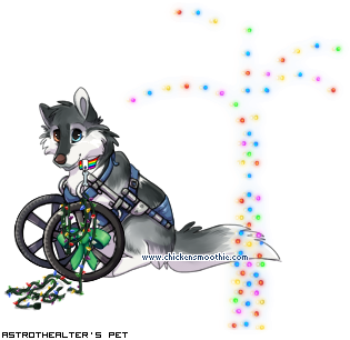 Dressed pet