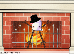 Dressed pet