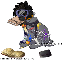 Dressed pet