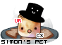 Dressed pet
