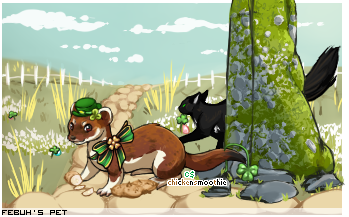 Dressed pet