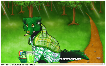 Dressed pet
