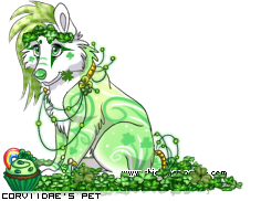 Dressed pet