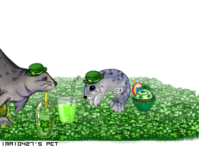 Dressed pet