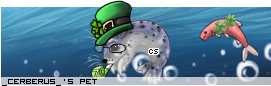 Dressed pet