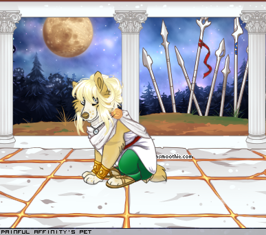 Dressed pet