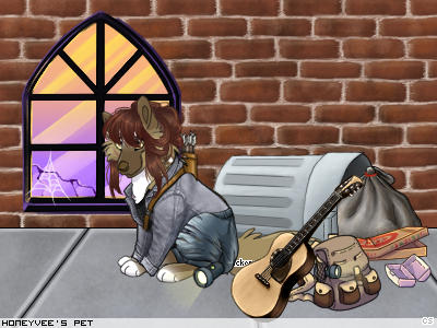 Dressed pet