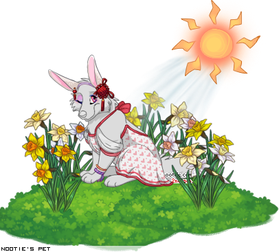 Dressed pet
