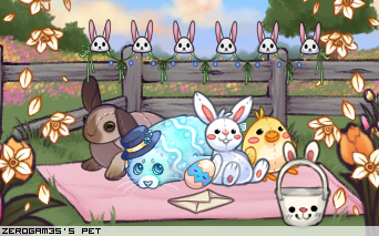 Dressed pet