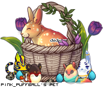 Dressed pet