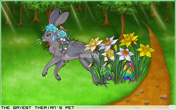 Dressed pet