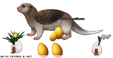 Dressed pet