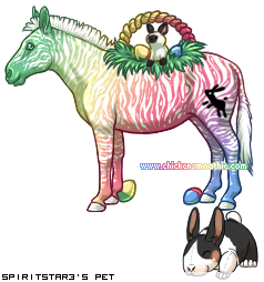Dressed pet
