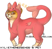 Dressed pet