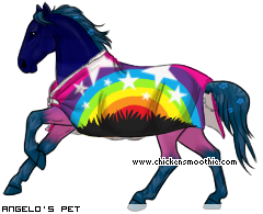 Dressed pet