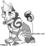 Dressed pet
