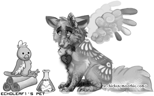 Dressed pet