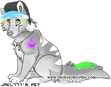 Dressed pet