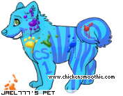 Dressed pet