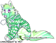 Dressed pet