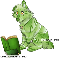 Dressed pet