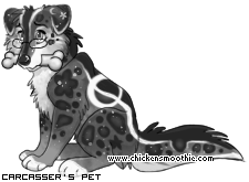 Dressed pet