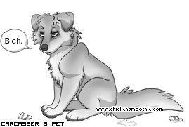 Dressed pet