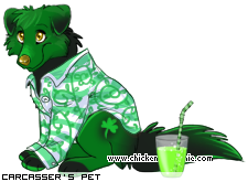 Dressed pet