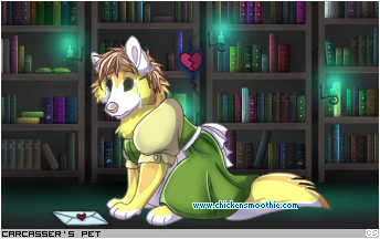 Dressed pet