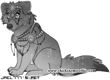 Dressed pet