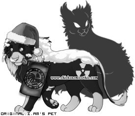 Dressed pet