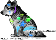 Dressed pet
