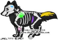 Dressed pet