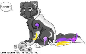 Dressed pet