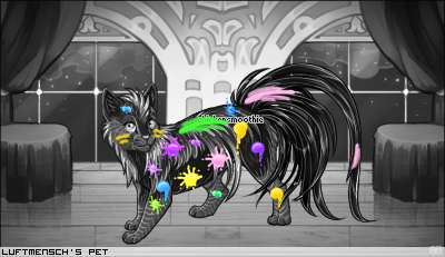 Dressed pet