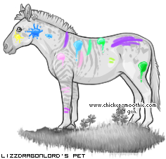 Dressed pet