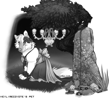 Dressed pet
