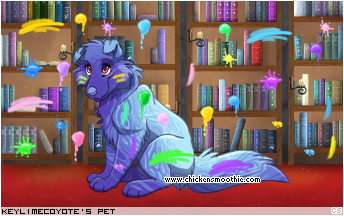 Dressed pet