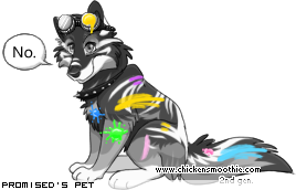 Dressed pet