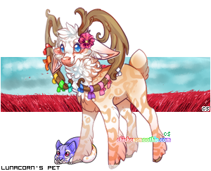 Dressed pet