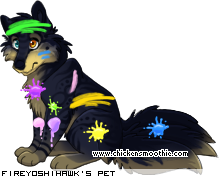 Dressed pet