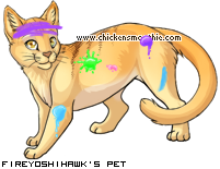 Dressed pet