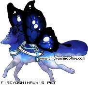 Dressed pet