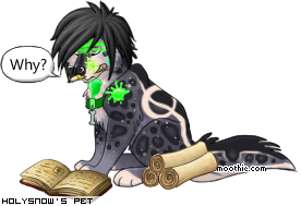Dressed pet