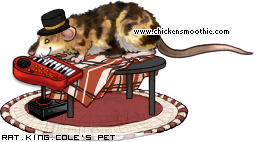 Dressed pet
