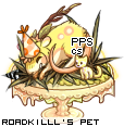Dressed pet