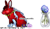 Dressed pet
