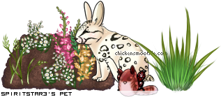 Dressed pet